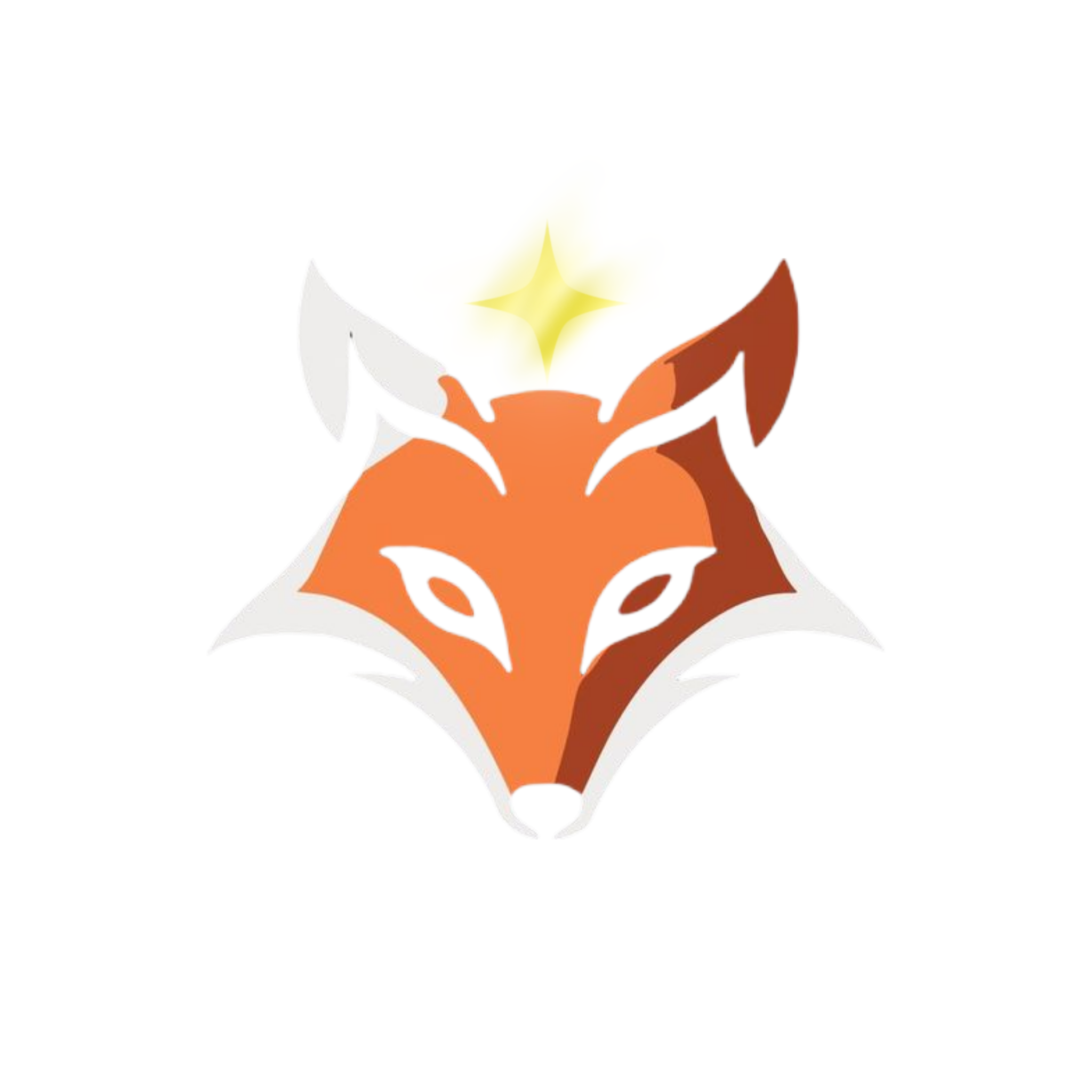 FlareVPN logo large